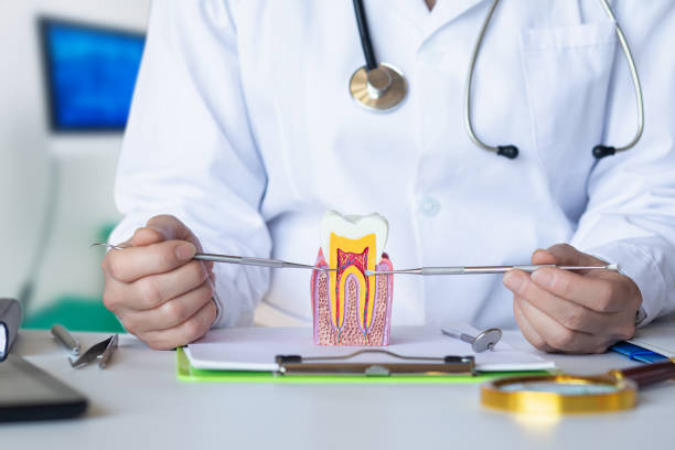 Best Emergency Denture Repair in Rutherford College, NC